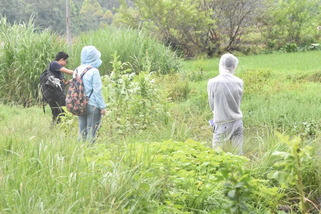 5b7f8aedcd121.jpg 12.jpg